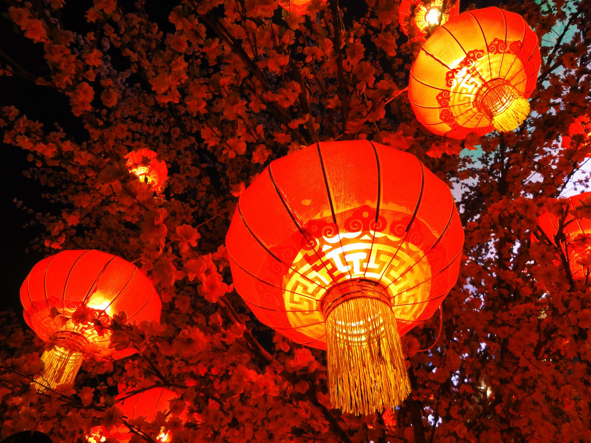 秦開電氣設(shè)備恭祝全國人民新年快樂！